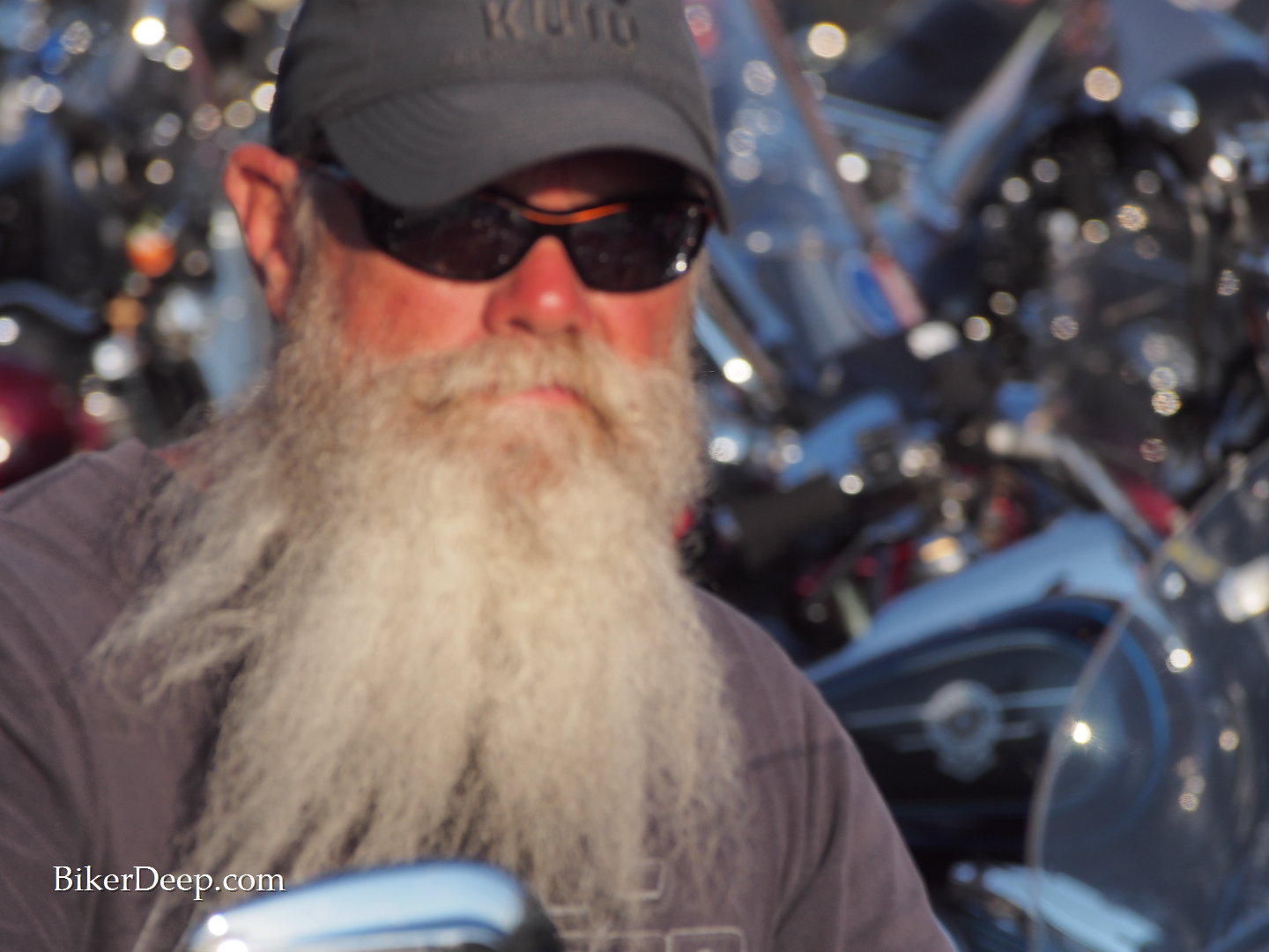 biker beard