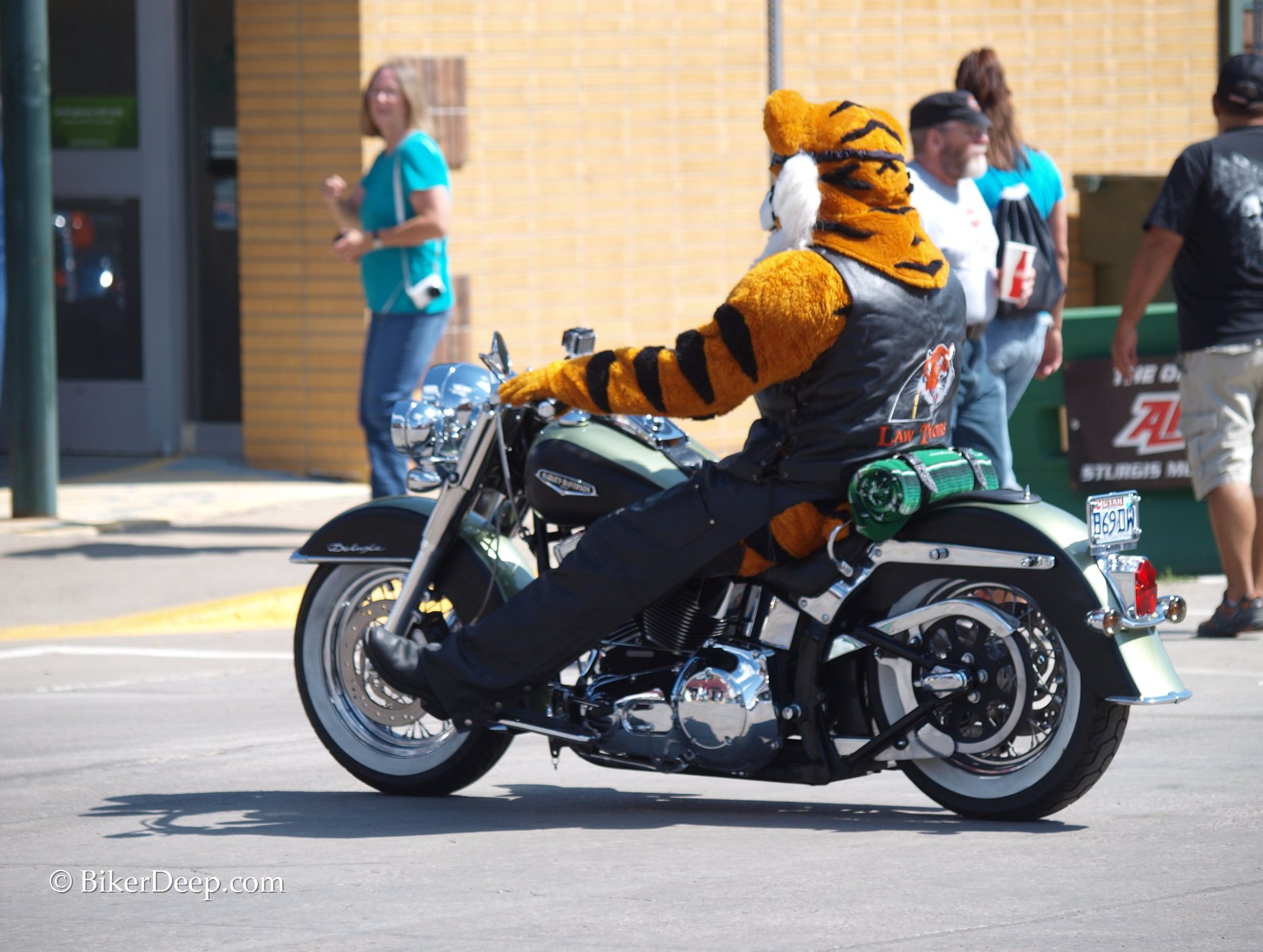 tiger biker