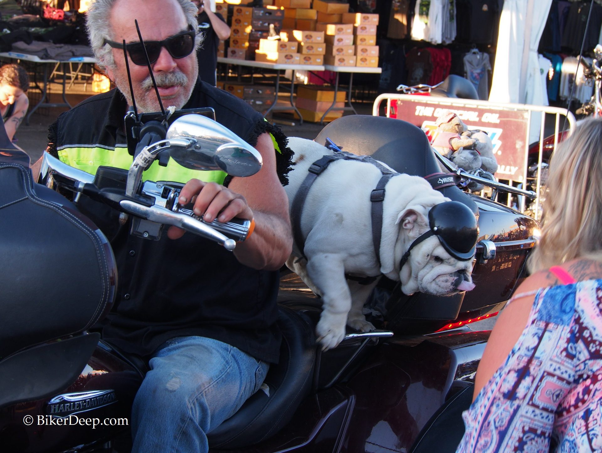 Bulldog Motorcycle